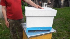 Шестирамочник из ППС своими руками.