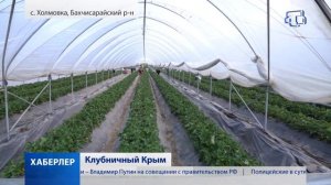 Клубничный Крым