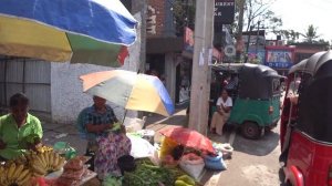 Шри-Ланка. Все самое лучшее для туристов.