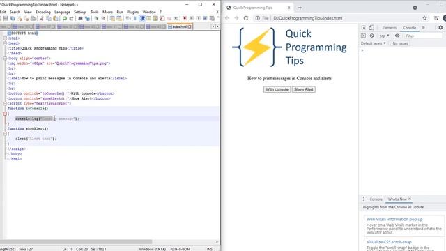 How to print messages in console and displaying alerts in JavaScript | Quick Programming Tips