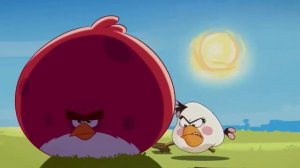 Angry Birds Toons w Spongebob Music Ep13: Gardening With Terence