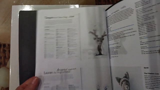 Связала ФЛАМИНГО по книги Керри Лорд "Зоопарк Эдварда. Вязаные птицы"
