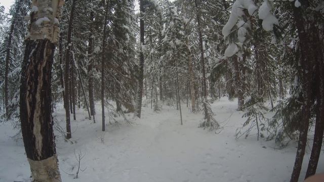 Испытание Секретной Приманки Из Тюбика | Охота На Соболя смотреть онлайн