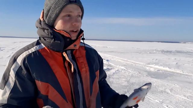 Ловля зимнего окуня на Куршском заливе, сын первый раз на льду смотреть онлайн
