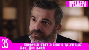 Клюквенный щербет 35 серия