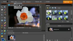 Photoshop Elements 9.0 Tutorial The Color Replacement Tool Adobe Training Lesson 6.6