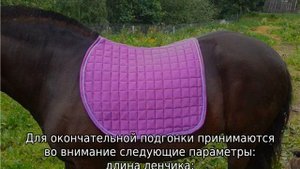 Амуниция для лошади