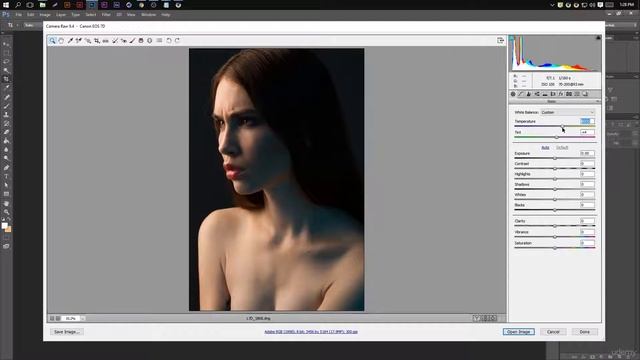 Photo Editing & Retouching Masterclass Photoshop 2016 Udemy 5 смотреть онлайн