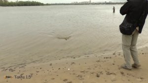 FishUp Lures. Tanta 1.5" Ловля на Съедобный силикон.