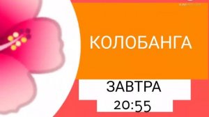 анонс карусель лето 2015