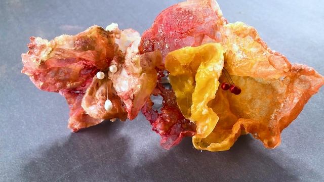 ??What is Encaustic? - A Sneak Peek at Painting with Fire?? смотреть онлайн