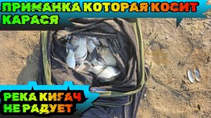 Рыбалка с подписчиком. Убийца карася в деле. Кигач Астрахань 2024)