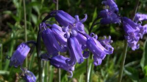 Learning colors with everyday objects