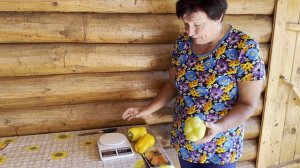 ОТЗЫВ ПЕРЕЦ СЛАДКИЙ МЕГАТОН ОРАНЖЕВЫЙ.ПРЕМИУМ СЕМЕНА
