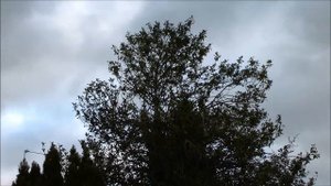 Panasonic HDC-SD800 Full HD Camcorder Test #2