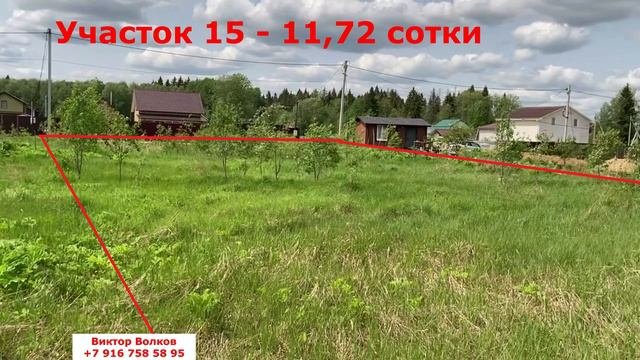 Тюльпаново