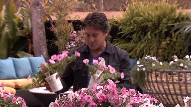 Jamie Durie - PW Supertunia смотреть онлайн