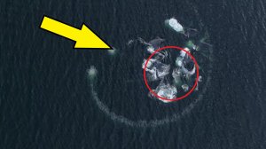 Дрон снял как вода в океане внезапно забурлила! Уникальные кадры охоты китов!