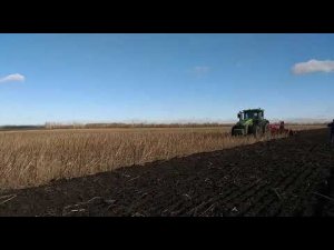 Работа тяжелой дисковой бороны SIPTEC, модели DiscoPlus RT 600 по подсолнечнику