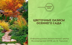 Видеопрезентация «Цветочные оазисы осеннего сада»