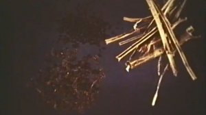 Сушка лекарственного растительного сырья © Drying of medicinal plants