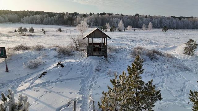 Акколь - Зимний лес - Рассвет