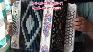 МУЖИЧОК С ГАРМОШКОЙ / Разбор на гармони с цифрами