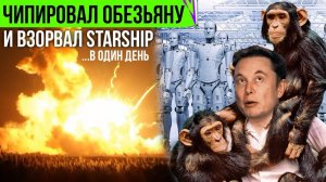 Чипированая обезьяна Маска, взрыв Starship, конец Stadia, Макбуки ломают iPhone и другие новости