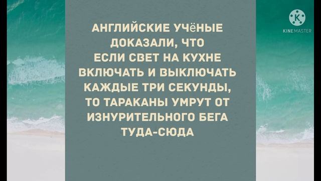 Сборник смешных анекдотов! Юмор дня! Приколы! Позитив!