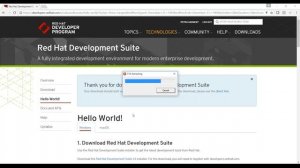 Red Hat Container Development Kit Installation