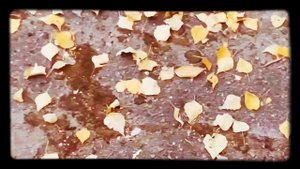 АСМР звук камня по асфальту|ASMR the sound of stone on asphalt