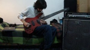 Washburn XB-126 + GK 700rbII - Neo Series 410