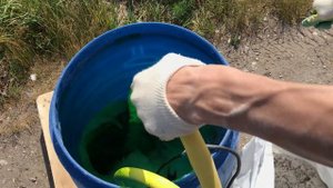 "Жидкий газон" своими руками с набором HydroSeed