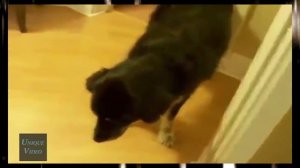 5 НЕОБЪЯСНИМЫХ И МИСТИЧЕСКИХ СЛУЧАЕВ СНЯТЫХ НА КАМЕРУ #1