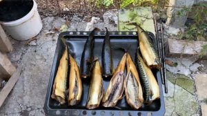 Скумбрия горячего копчения. Мой подход. Читайте описание. | Бoroda 32