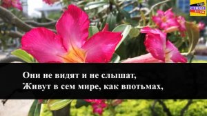 Ф.И. Тютчев "Не то, что мните вы, природа" | Учи стихи легко | Караоке | Аудио Стихи Слушать Онлайн