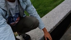 Рассказываю о пруде биобассейне. Что такое биобассейн?