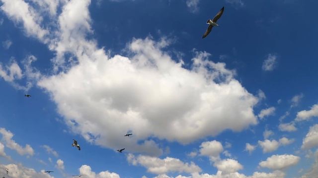 Очень мощная Молитва душевной ГАРМОНИИ И МИРА в повседневной жизни✓Научная Молитва Джозефа Мэрфи смотреть онлайн