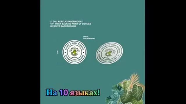 'RUSSIAN VERSION' Экологические знания на 4-6 / 7-11 лет - БЕСПЛАТНЫЙ сувенир смотреть онлайн