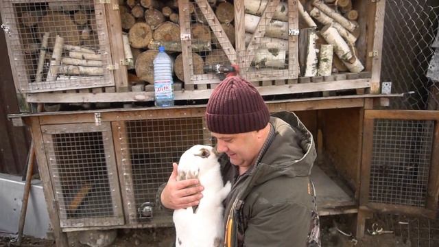 Сенсация! Долгожданное пополнение в хозяйстве