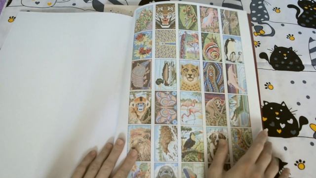 Новые раскраски "Цветовой квест" обзор смотреть онлайн