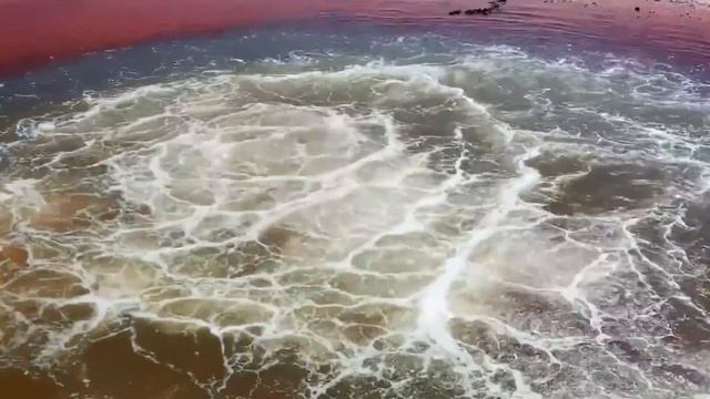 2 Минуты Назад! Ученые Нашли Находку, которую Скрывали от Вас 100 Лет смотреть онлайн