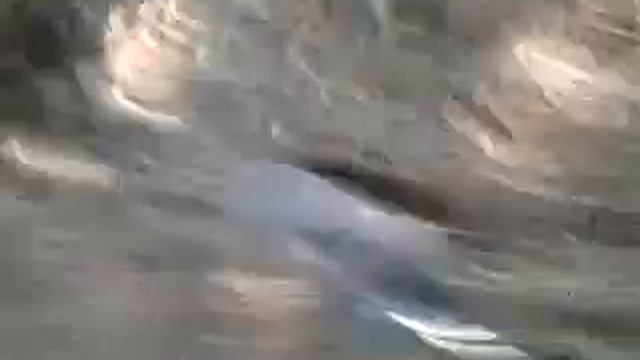 Тест металлоискателя торнадо по воздуху смотреть онлайн