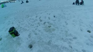 Ловля на безмотылку и мотылку, что лучше. Рыбалка на р. Урень.