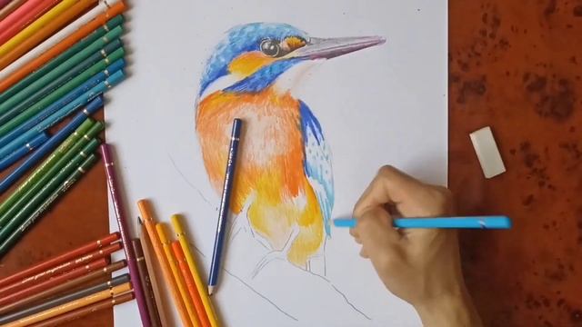 Красивая птица смотреть онлайн