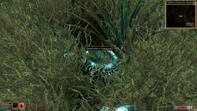 Прохождение TES III Morrowind 001. Начало