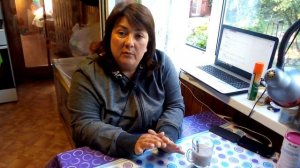 Как подсадить цыплят под курицу