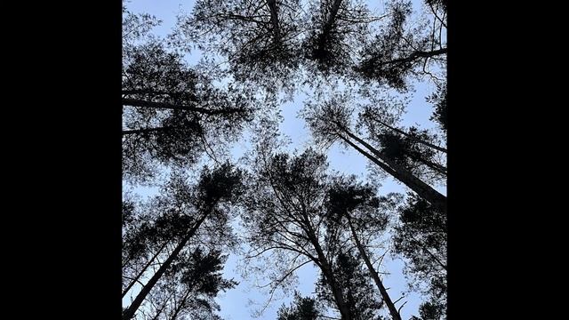 Волга от истока до устья. Часть 1
