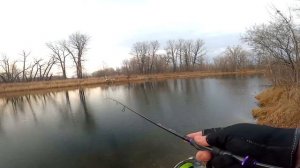 НОВИНКИ ❗ Силиконовые Приманки с АлиЭкспресс | Силикон на щуку, судака, окуня копии от ESFishing