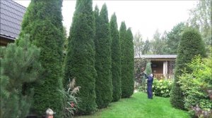 НУЖЕН ЛИ ОН НА ДАЧЕ??? ВЫСОТОРЕЗ GARDENA StarCut 410 plus. КОНЕЧНО НУЖЕН!!!!